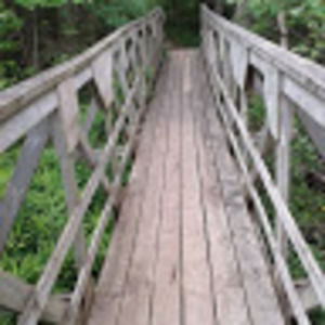 Meet your Posher, Gail